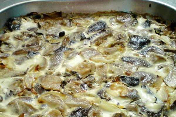Как приготовить грибы вешенки со сметаной: пошаговые рецепты